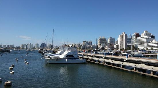 el Puerto de Punta del Este
